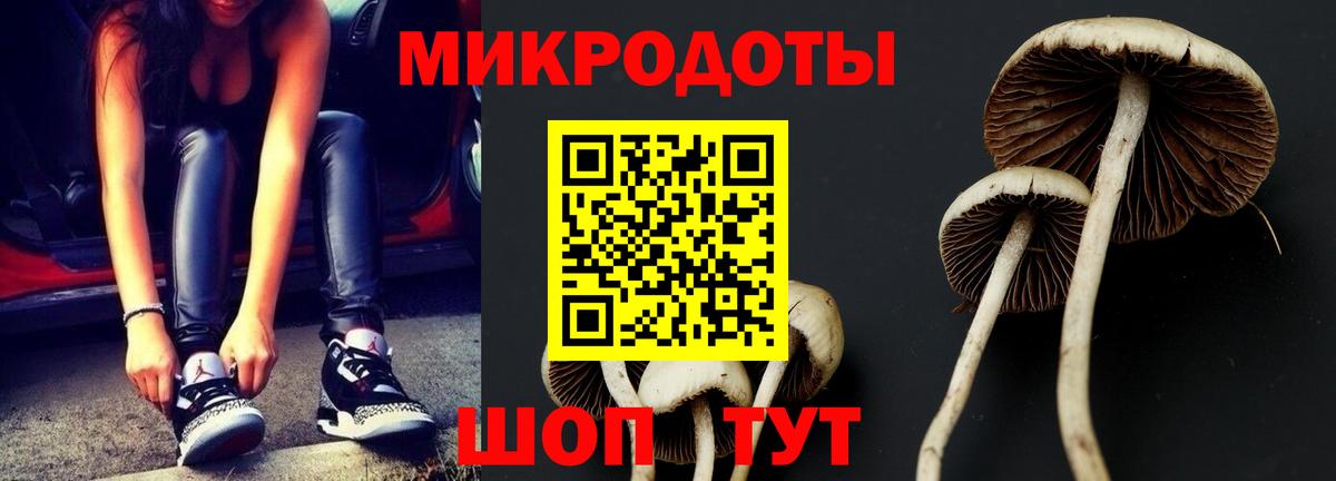 Псилоцибиновые грибы мицелий  Вход с VPN  Отрадное  Галлюциногенные грибы ЛСД 